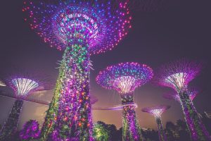singapore gardens port guide