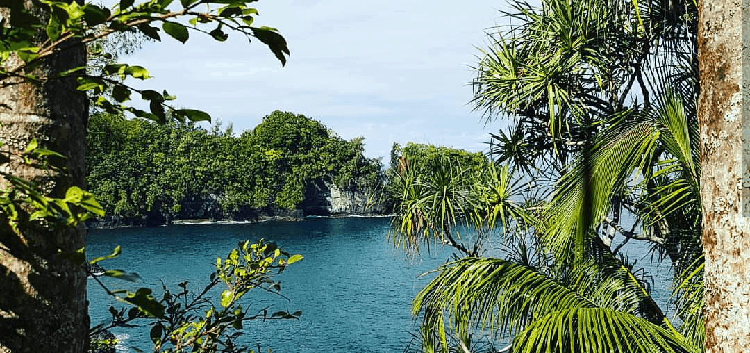 hawaii cruise ocean trees nature