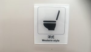 asia cruise toilets western style singapore