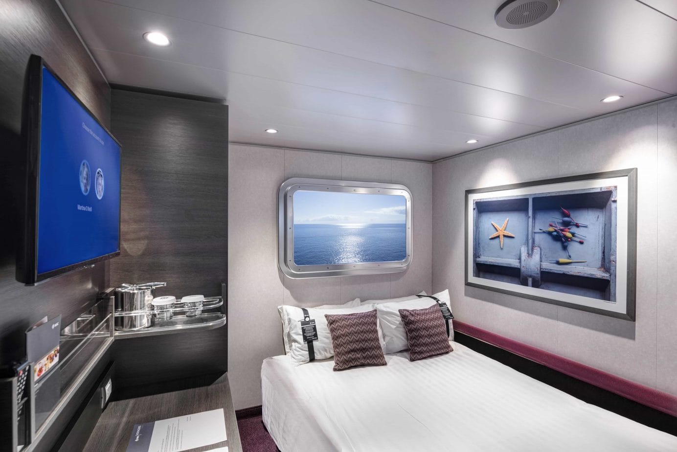cruise ship cabin layouts