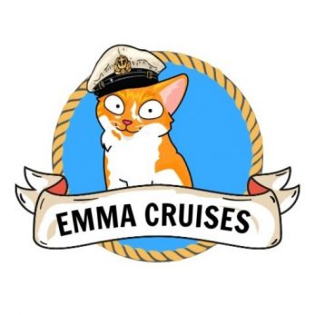 MSC Status Match – Step by Step Application Guide and Chart – Emma Cruises