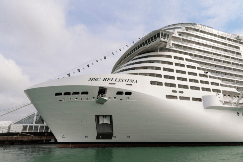 cruise ship anchor cost