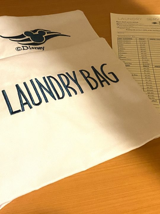 disney cruise line laundry bag