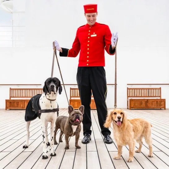 Cunard dogs on Queen Mary