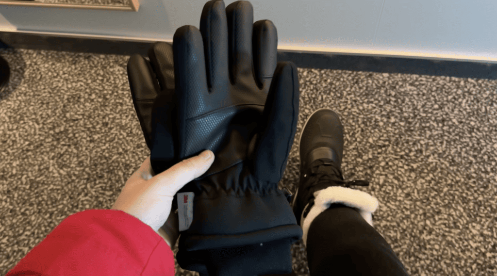 emma cruises gloves thinsulate